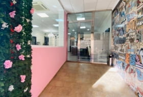 Foto 3