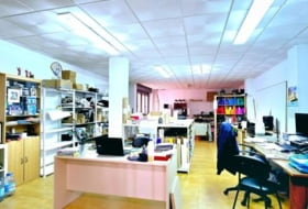 Foto 7
