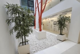 Foto 10