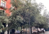 35m² bureau pour location à Valladolid, dans le quartier de Plaza Mayor, Calle de Alonso Berruguete photo