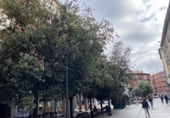 35m² bureau pour location à Valladolid, dans le quartier de Plaza Mayor, Calle de Alonso Berruguete photo