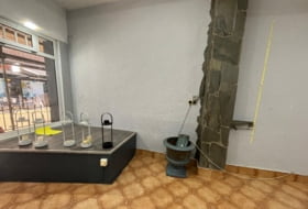 Foto 11