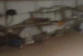 Foto 11