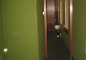 Local comercial en alquiler con 124m² en Gijón, en la zona de Laviada foto