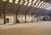 Nau Industrial
en venda
amb 6784m² a Vila-real, Calle Ribesalbes, 52 foto