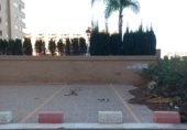 Local comercial
en lloguer
amb 140m² a Orpesa, a la zona de Marina d'Or foto