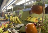 18m² magasin de fruits pour location à Torrejón de Ardoz photo