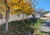 Nau Industrial
en venda
amb 2371m² a Castelló de la Plana foto