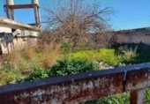 Nau Industrial
en venda
amb 2371m² a Castelló de la Plana foto
