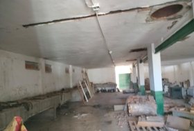 Foto 15