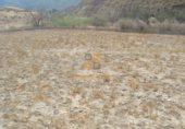 30000m² entrepôt pour vente à Huércal-Overa photo