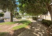 117m² locaux commerciaux pour vente à Altea photo