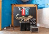Restaurant
en venda
amb 303m² a Bérchules, Camino Era Genil foto