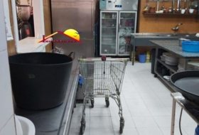 Foto 13