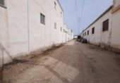 3300m² entrepôt industriel pour vente à Lucena, Carretera de Rute photo
