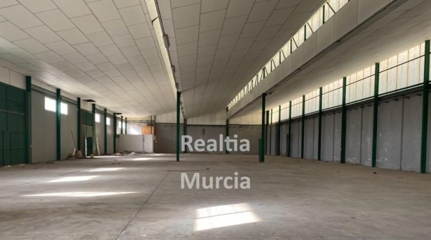 Nave