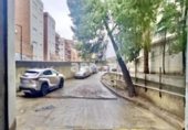Nau Industrial
en venda
amb 776m² a Sant Feliu de Llobregat, Carrer de Joaquim Montmany foto