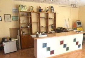 Foto 1