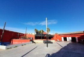 Foto 15