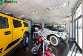 Foto 12