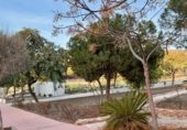 Taller
en venda
amb 170m² a Almeria, Calle El Almendro foto