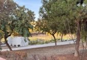Taller
en venda
amb 170m² a Almeria, Calle El Almendro foto