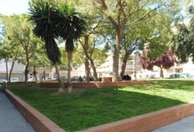Foto 10