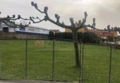 152m² commercial premises for sale in Oviedo, in the area of Olivares, Plaza de Occidente photo