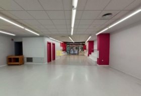 Foto 15