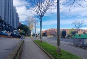 Foto 19