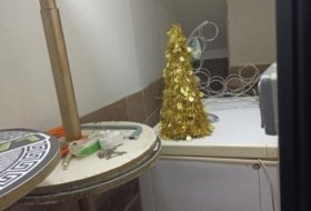 Foto 7