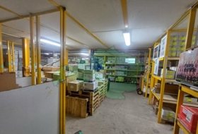 Foto 14