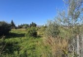 Nave Industrial en venta con 2477m² en Vinaroz, Calle Boverals U foto
