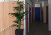 400m² bureaux avec locataires pour vente à Blanes, Carrer Jaume I photo