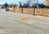 200m² warehouse for sale in Abanilla photo