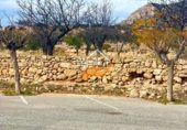 200m² warehouse for sale in Abanilla photo
