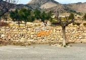 200m² warehouse for sale in Abanilla photo