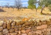 200m² warehouse for sale in Abanilla photo