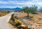 200m² warehouse for sale in Abanilla photo