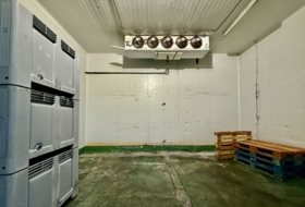 Foto 11