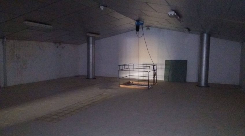 Nave