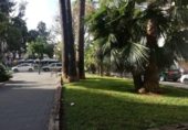 Oficinas en venta con 251m² en Gandía, Avenida Marqués de Campo foto