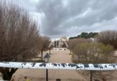 commercial premises for sale in Membrilla photo