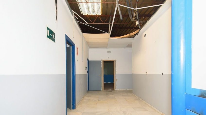 Nave