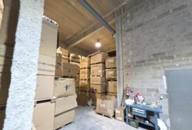 Foto 7