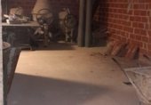 Local comercial
en venda
amb 205m² a la Pobla Llarga, Calle Montaña foto