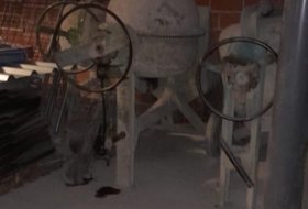 Foto 12