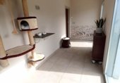 Hotel en venta con 325m² en Castro de Rei foto