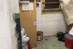 Foto 19