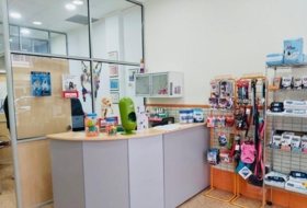 Foto 5